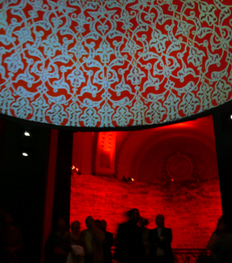 Bild6